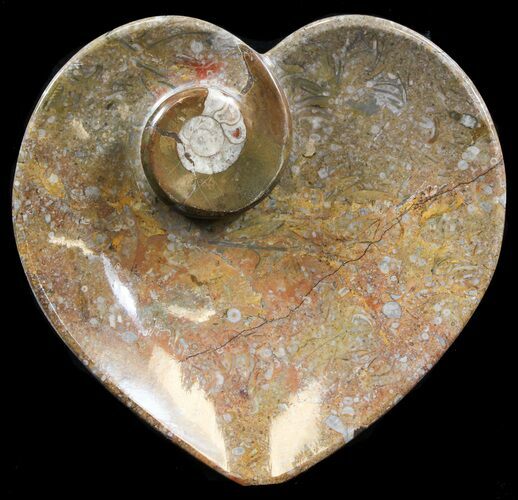 Heart Shaped Fossil Goniatite Dish #39303